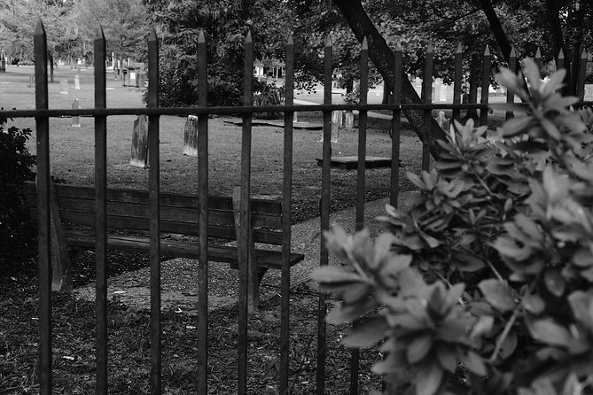 Genteel and Bard's Savannah Dark History and Ghost Encounter Walking Tour - Chippewa Square: Who Was Hidden Among the Famous Sights