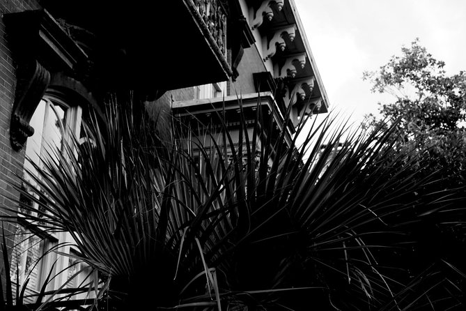 Genteel and Bard's Savannah Dark History and Ghost Encounter Walking Tour - Colonial Park Cemetery: Cemetery History, Disease, and Hudu