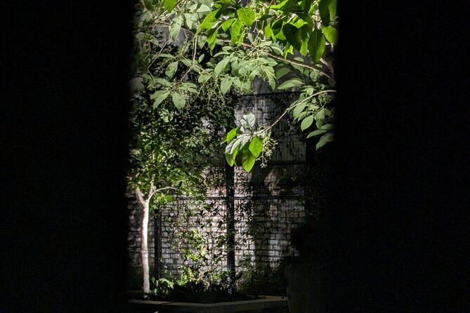 Interactive Paranormal Ghost Walking Tour in Savannah Georgia - Why This Savannah Ghost Tour Feels Different