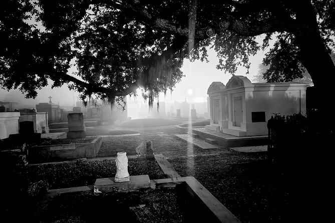 New Orleans Cemetery Bus Tour with Exclusive Cemetery Access - Night bus + cemetery stops in New Orleans: why this works