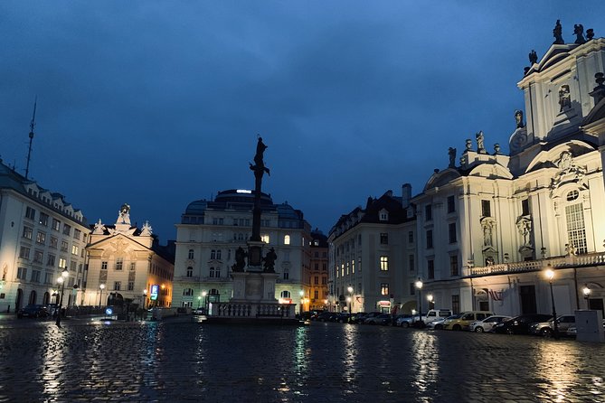 Private Spooky Vienna Ghost Tour - Plague Column and Blood Alley: disease-era stories you can map