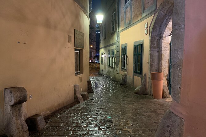 Private Spooky Vienna Ghost Tour - Augustin, the plague musician: the story that makes it stick
