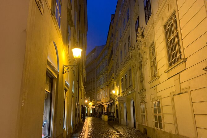 Private Spooky Vienna Ghost Tour - Executions in the Middle Ages and a medieval alley of legends