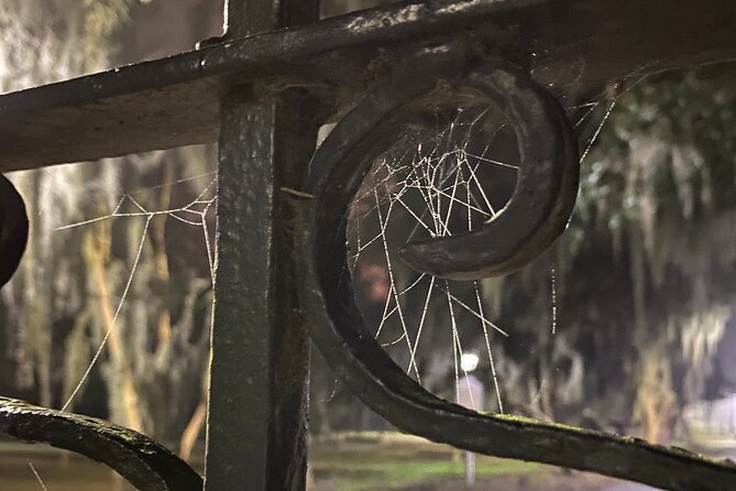 Savannah Ghost Tour for Adults ALL Alcoholic Drinks Included - The Guides Make or Break the Mood (Becca, Jessica, Brooke, Laith, Lisa)