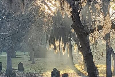 Savannah History and Haunts Candlelit Ghost Walking Tour - Chippewa Square start: how to make your meeting work smoothly