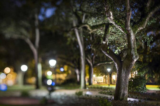 Savannah Shadows All Ages Ghost Tour - Meet the Guides: What Makes Lance, Adam, and Brandon Work