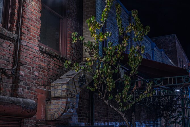 Sinister Sins, Scandal, and Shadows: Seattle Ghost Tour - Guides make or break the experience (and the group stays moving)