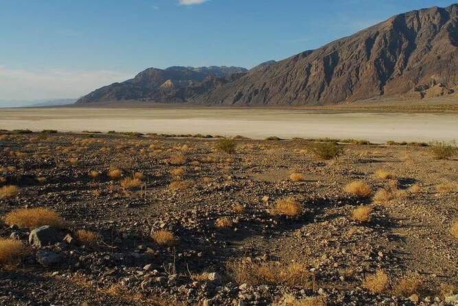 Small Group One Day Tour Death Valley National Park and Rhyolite Ghost Town - Should You Book This Death Valley and Rhyolite Tour?