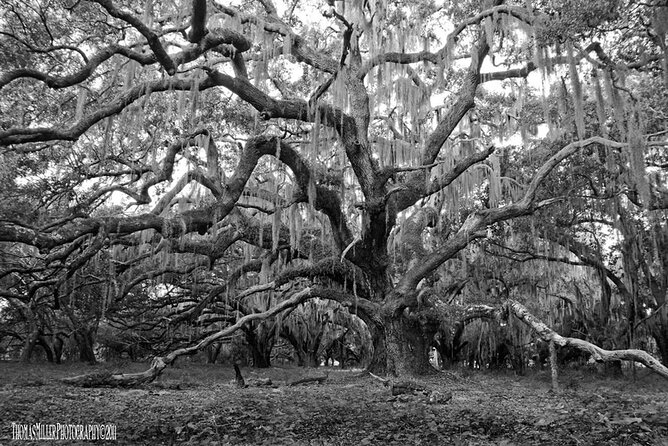 The Blackest Ghost Tour: Ages 17 and Above - A 90-Minute Outdoor Ghost Walk That Reads Like Real New Orleans
