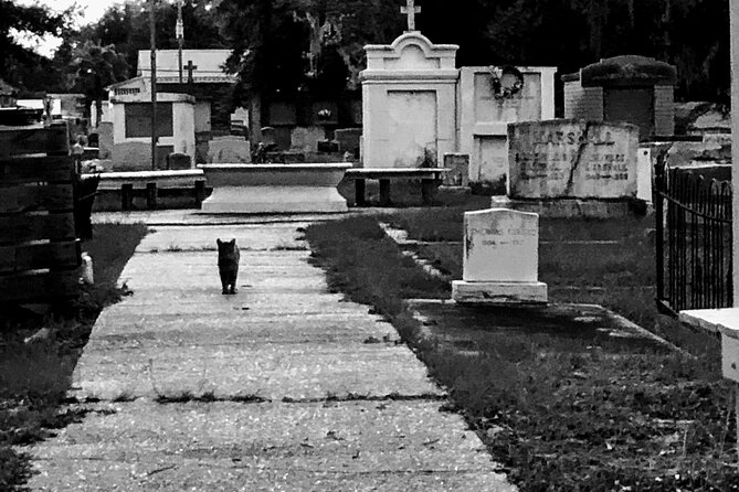 The Spirit Ghost Walking Tour - Stop 2: Cedar Rest Cemetery and the Story Behind an Occupant