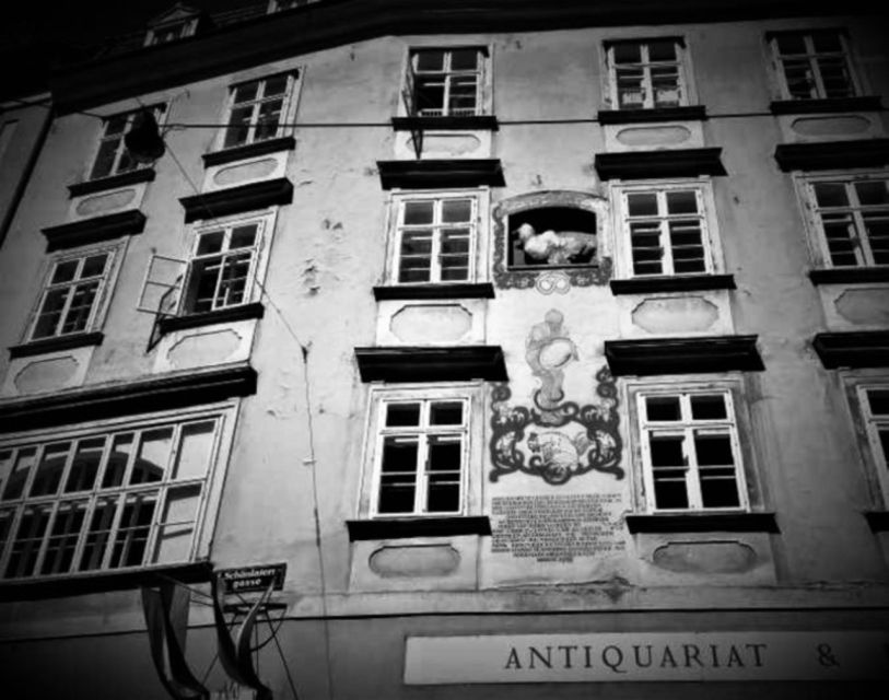 Vienna: Spooky Ghost Tour in English - Quick hits before you go