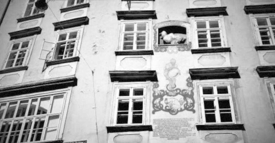 Vienna: Spooky Ghost Tour in English - Where the tour starts: Helmut Zilk Platz and the “find your guide” moment