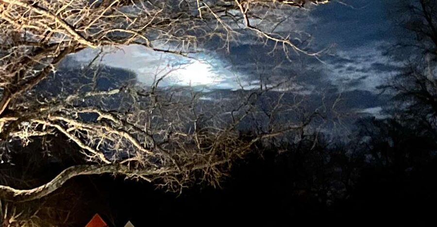 Williamsburg: Dead of Night Paranormal investigations Tour - Key points before you go