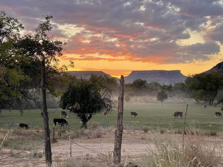 Zion: Harry Potter-Inspired Zion Ghost Tour with Sunset View - Grafton Ghost Town guided walkthrough: stories you can picture